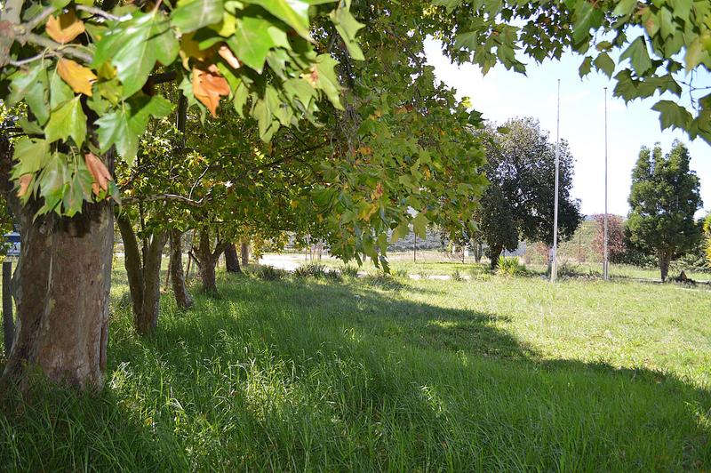 9 Bedroom Property for Sale in Joubertina Eastern Cape